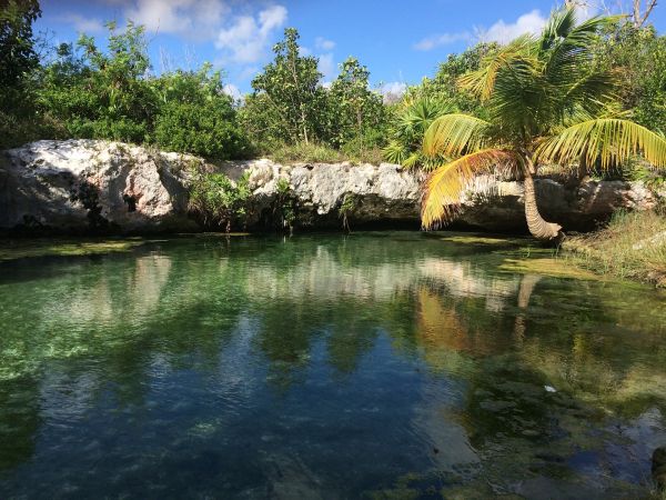 Cenotes en Tulum